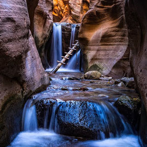 Meet your Posher, Carli